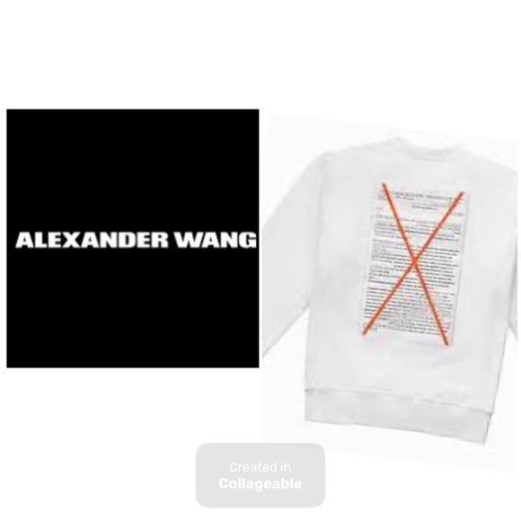 ‼️‼️🤩WOW💯Alexander Wang X Adidas Originals Sweatshirt - Picture 1 of 6
